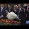 President Trump participates in National Thanksgiving Turkey Pardoning Ceremony