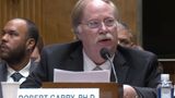 'Just writing a paper': Fauci-tied COVID origin author passes buck for shutting down lab-leak debate