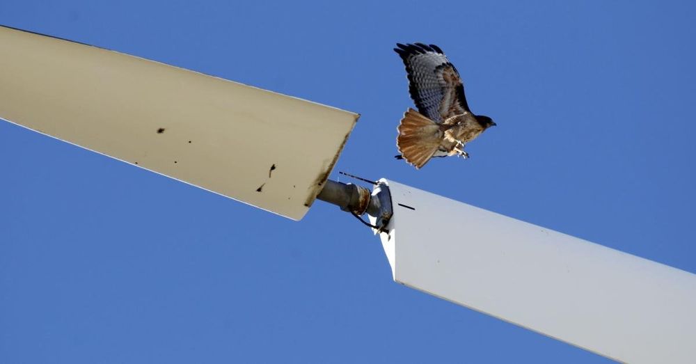 Trump put the brakes on offshore wind, now critics of onshore wind want to be heard too