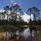 New Water Rules Mark Latest Trump Rollback on Environmental Regulations