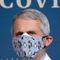 Fauci claims 'another spike' of COVID could be in the near future