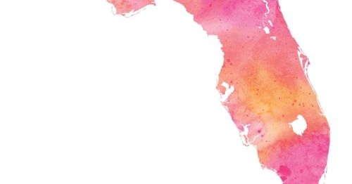 Florida data center regulation proposal goes back to Senate