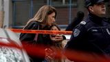 Teenager kills 8 children and guard at elementary school in Belgrade: Police