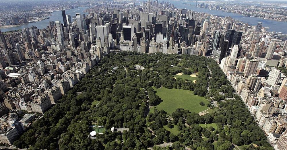Man accused of stabbing two people in NYC's Central Park yelled 'Allahu Akbar,' witnesses say