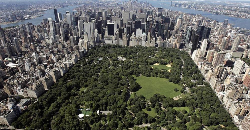 Police think backpack found in Central Park belongs to shooter of UnitedHealthcare CEO: Report