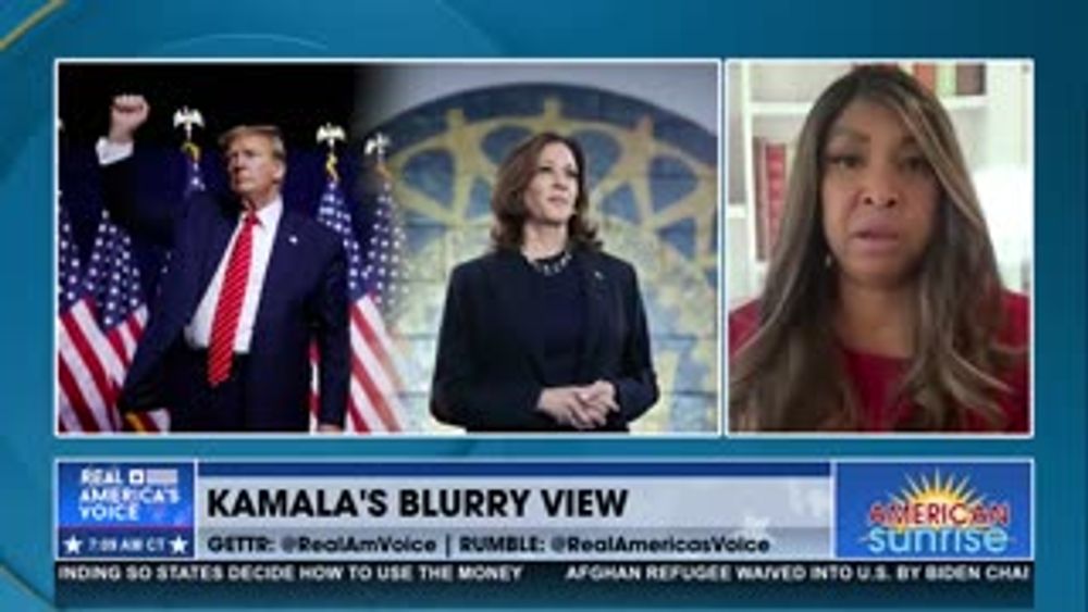 ABOUT KAMALA'S BLURRY VIEW