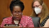 Democrat Rep. Sheila Jackson Lee says Biden's U.S. border plan 'does not look like it’s working' now