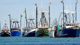 Fishing industry sues over offshore wind farm, says the DOI didn’t properly permit Vineyard Wind