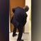 Former South African President Jacob Zuma Posts Humorous Video
