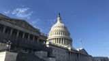 Senate passes $460 billion spending package 75-22, averting partial government shutdown