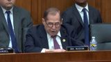 Democrat Rep Nadler: 'facts do not justify the fears' of transgender youths in girls' sports
