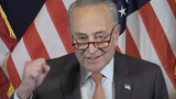 Chuck Schumer is Downright Giddy About Ditching Biden