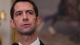 Cotton slams 'anti-American indoctrination' in military's diversity training