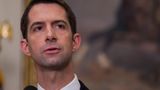 Sen. Cotton calls Special Counsel Jack Smith a 'deranged fanatic who is angry that he keeps losing'