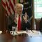 President Trump has Lunch with Members of Congress