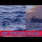 American Ultra-Marathon Swimmer Breaks Record!