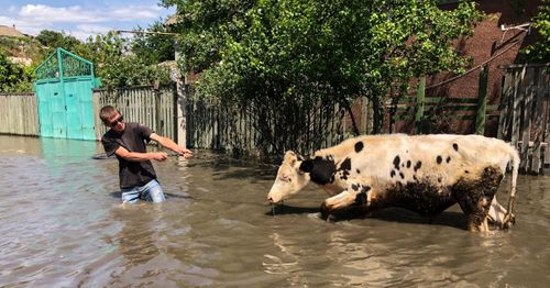 Ukraine evacuates thousands as water gushes through dam while nuclear plant loses cooling water
