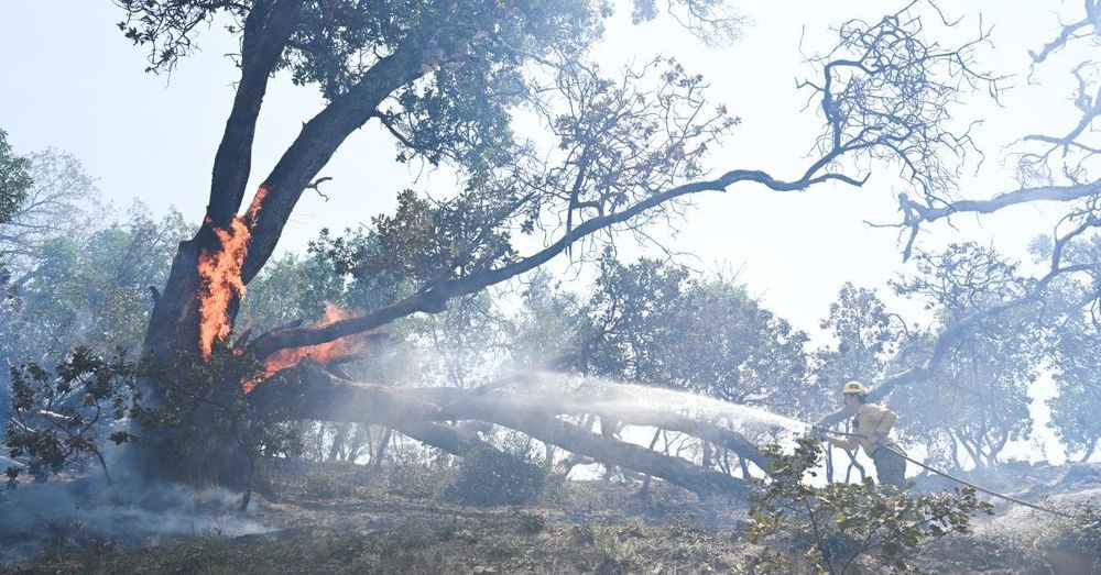 Timber Fire grows along California iconic, rugged Big Sur coastline, forcing evacuations, closures