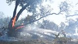Timber Fire grows along California iconic, rugged Big Sur coastline, forcing evacuations, closures