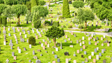 Death and Taxes? Just Taxes – The Feds Are Paying Millions to the Dead