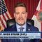 Rep. Greg Steube: 'We can't do anything until a speaker is elected'