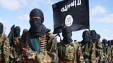 Dozens of al-Shabaab terrorists in Somalia killed in strike, US military says