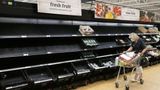 UN expert predicts global food crisis may be 10 weeks away