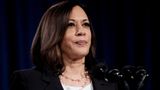 Arizona Gov. Ducey calls Harris 'worst possible choice' to fix border problem