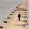 US to Investigate Use of Chinese Materials in Imported Solar Panels