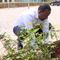 Ethiopia Prime Minister Abiy Ahmed Plants Trees in Addis Ababa