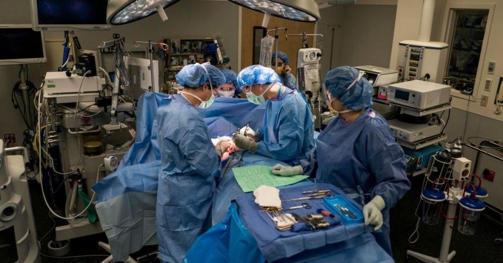 Constitutional right to castration? DOJ, 25 states fight court ruling for transgender sex offender