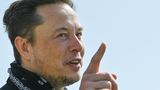 Elon Musk warns Twitter is 'all bots'