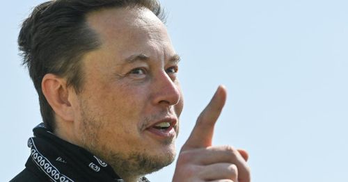 Elon Musk warns Twitter is 'all bots'