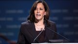 Kamala Harris flubs on world stage, undercuts intel by claiming sanctions would deter Putin
