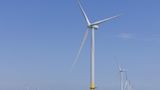 Northeast states sue Trump over offshore wind power