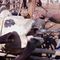 Electronic Devices Used to Stop Cattle Theft in Madagascar