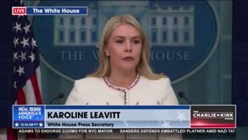 LEAVITT ON DEMOCRAT SHUTDOWN