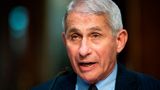 Fauci compares COVID-19 fight to World War II