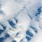 Scientists report 24,000-year-old microscopic animal found alive in permafrost