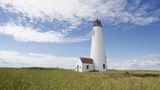 ICE arrests at least a dozen migrants during raid on Nantucket