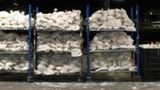 Border Patrol agents seize $18.6 million in meth at southern border