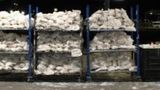 Thousands of pounds of meth smuggled across border in vegetable shipments