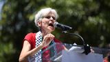 Kamala Harris, Jill Stein virtually tied among Muslim voters: poll