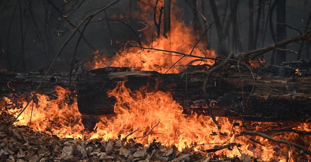 New York firefighter charged with arson for allegedly setting Long Island brush fire