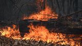 New York firefighter charged with arson for allegedly setting Long Island brush fire