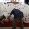 Patriotic pups: How one 11-year-old’s idea led to a statewide and national movement