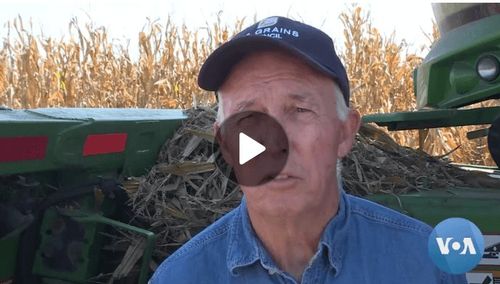 Illinois Farmers Voice Support for Trump Despite Hardships