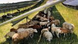 Proposal: Farm property tax break on solar from 80% to zero