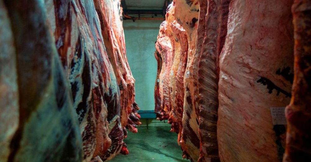Trump announces plan to increase beef imports and lower prices that ranchers previously criticized