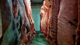 Trump announces plan to increase beef imports and lower prices that ranchers previously criticized